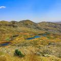 Summer Road Trips to Laqlouq and Tannourine: Discovering Lebanon’s Scenic Beauty